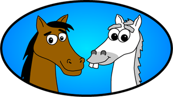 Geary Whiting's Equine Massage School can help you become a certified Equine Massage Therapist today!