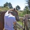This is the connection I am looking for between my students and horses