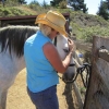 Developing a connection with the horse is inevitable during massage.